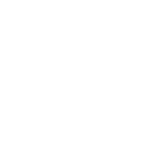 Ikona wir